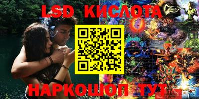 шишки Бузулук