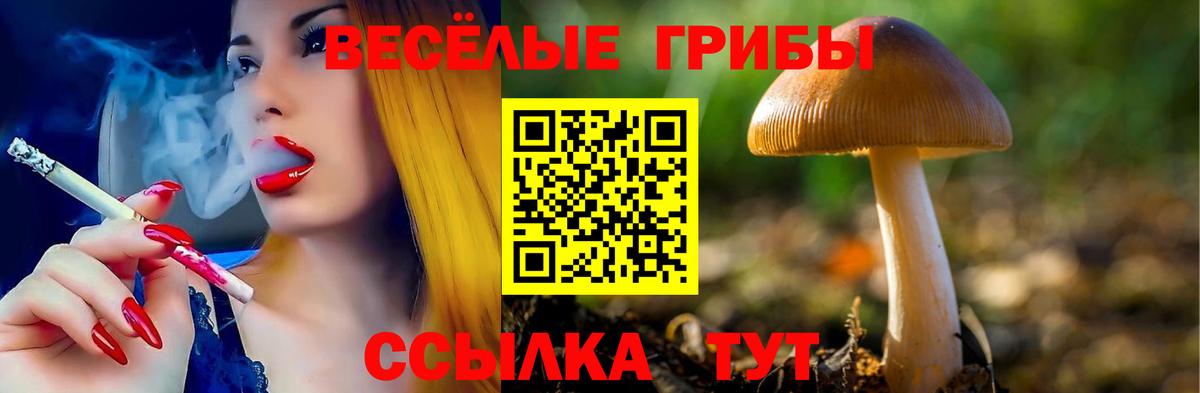 цены   Вход с VPN  Кинешма  Галлюциногенные грибы прущие грибы  Псилоцибиновые грибы Cubensis 