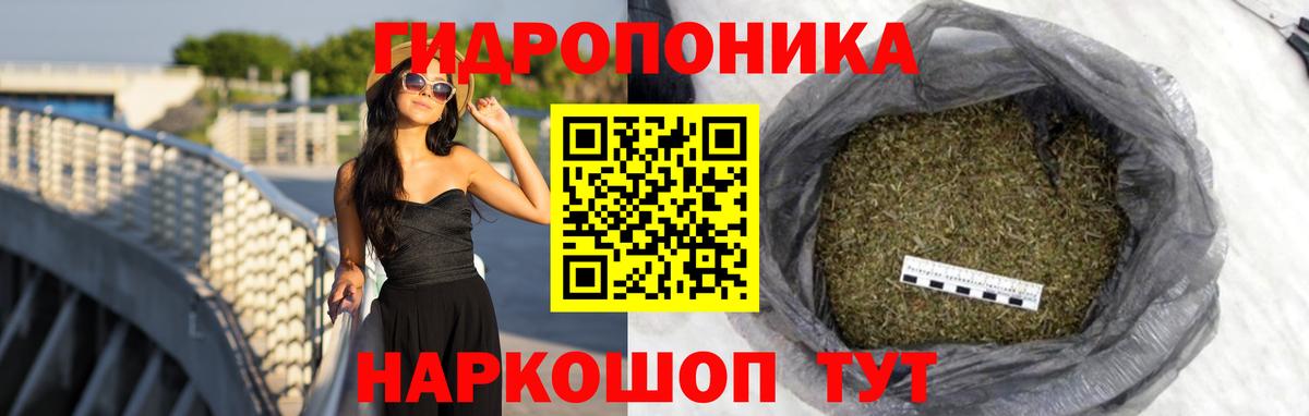 Канабис планчик  Каннабис гибрид  Вход с VPN  Кинешма  Бошки марихуана сатива 